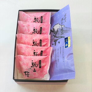 hVMtg  ~5 [v100gl Q \ Β  Mtg p v[g XC[c 񂹃O v[g Mtg hVMtg