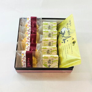  ̂ŒƂ̉ԃpCl [R100g   l e5 10 蕨 XC[c 񂹃O Mtg