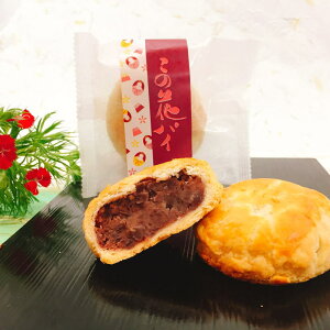 ̉ԃpC8  xmR{{ԑ ؉ԍP@  v[g ii  pC\