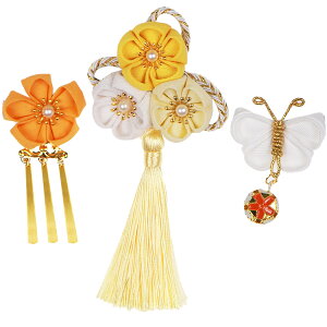 a ܎O   ܂ݍ׍H  q ̎q Mtg pP[Xt