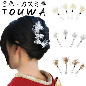 和装髪飾り かすみ草 カスミソウ 七五三 成人式 花 子供 レディース ドライフラワー 浴衣 袴 振袖 前撮り 卒業式 結婚式 ブライダル お正月 ギフト 専用ケース付