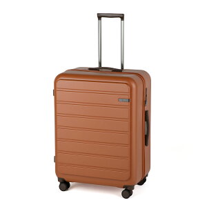 �t���b�g�{�[�h 64cm 05434