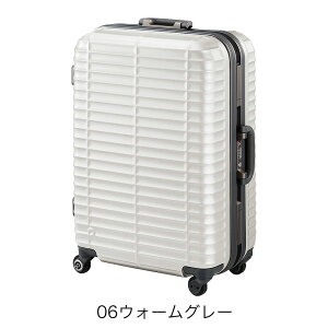 y11/26Gg[19{mzmxeBt veJ X[cP[X lTCY G[X t[^Cv Xg^ ACE }OlVEt[̗p 5-6 61cm 64L 00851 Ki Cws Ɨ