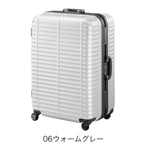 mxeBt veJ X[cP[X llTCY G[X t[^Cv Xg^ ACE }OlVEt[̗p 7-10 66cm 95L 00852 Ki Cws Ɨs v[g 3Nۏ