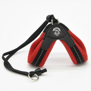 y11/16Gg[10{mzg|eB x^ \tgbV TRE PONTI Liberta SOFT MESH Size1 Size1.5 n[lX ltp103-1 C^A ^ L y  uh  ybgpi akz052 ak