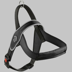 y11/26Gg[10{mzg|eB v tNeBu n[lX TRE PONTI PRIMO REFLECTIVE ltp200 C^A ^ ^ nht y  uh ybgpi akz052 akz-