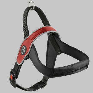 y11/16Gg[10{mzg|eB v tNeBu n[lX TRE PONTI PRIMO REFLECTIVE ltp200 C^A ^ ^ nht y  uh ybgpi akz052 akz-