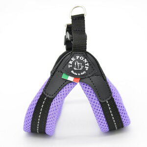 y11/16Gg[10{mzg|eB tBbrA \tgbV pXe TRE PONTI Fibbia SOFT MESH PASTEL Size1 Size1.5 n[lX ltx349f2-1 C^A ^ y  uh  y