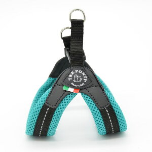 y11/16Gg[10{mzg|eB tBbrA \tgbV pXe TRE PONTI Fibbia SOFT MESH PASTEL Size2 Size2.5 n[lX ltx349f2-2 C^A ^ y  uh  y