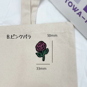 by AC o lI y1000~ȏwz hJ AbvP  KN   nhCh  w ct ۈ牀 w Xq j̎q ̎q 搶