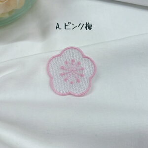 by AC FIׂ ~ y1000~ȏwz hJ AbvP  | ~ j ~̉   w ct ۈ牀 nhCh j̎q ̎q l