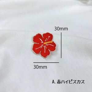 by AC FIׂ nCrXJX y1000~ȏwz  썑 hJ AbvP nhCh  w ct ۈ牀 j̎q ̎q l 搶