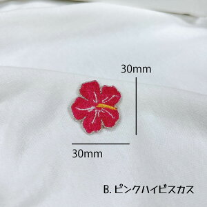 by AC FIׂ nCrXJX y1000~ȏwz  썑 hJ AbvP nhCh  w ct ۈ牀 j̎q ̎q l 搶