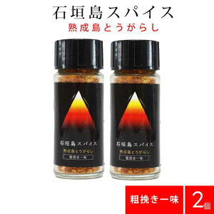 Ί_XpCX nƂ炵 e҂ꖡ 10g ×2Zbg b 100,000XRr h hXpCX hq Ƃ炵 hq  nol ꖡ ꖡhq