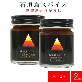 石垣島スパイス 熟成島とうがらし ペースト 45g ×2個セット ｜ 100,000スコビル 激辛 激辛スパイス 島唐辛子 島とうがらし 唐辛子 調味料 ハバネロ コチュジャン