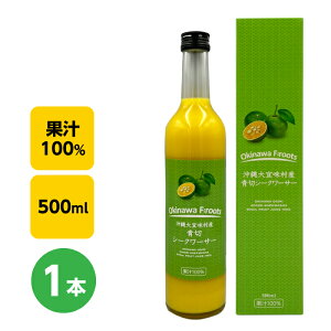 XY؃V[N[T[W[X 100@500ml×1{@Xg[gbꌧ ̑uXv b؂bXbLETbp킢