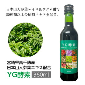 YG酵素（360ml） 宮崎県高千穂産 日本山人参葉エキス配合 酵素ドリンク 原液 希釈して飲用 計量カップ付き