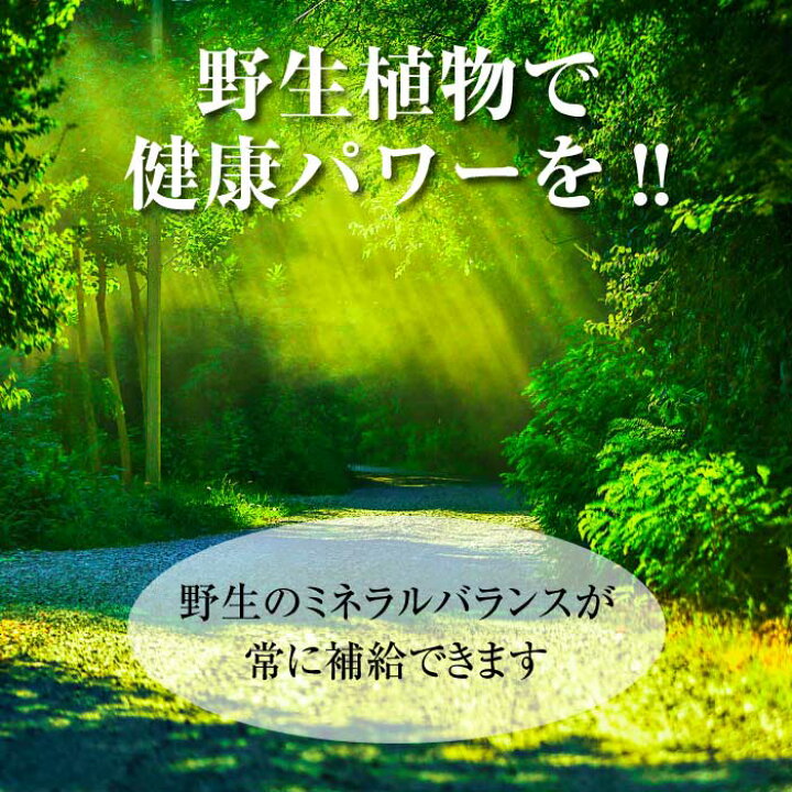 楽天市場 ポイント11倍 ハイパワーマグマン50g Bie野生植物ミネラルマグマン 超濃縮液 水溶性ミネラル 植物性ミネラル 東和バイオ