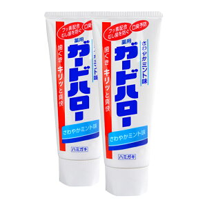 y 2{ZbgzK[hn[ ₩~g pK[hn[ 165g n~KL  ݂ [