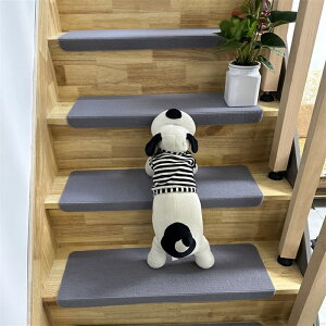 ySXN[|zzzy唻 70cmz Ki}bg zKi}bg Ki ~ ~߃}bg 50×20cm z}bg 70cm 50cm L h 唻TCY z zJ[ybg ybg  L J[y