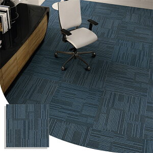 _SXN[|zz^y20`100z^CJ[ybg 50×50cm J[ybg WCg}bg 20PʂŔ̔ YȂ g[Ή q  􂢉\ 􂦂 ItBX  R h