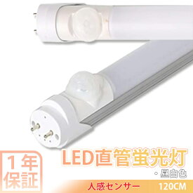 楽天市場 照明 おしゃれ 蛍光灯 ライト 照明器具 インテリア 寝具 収納の通販