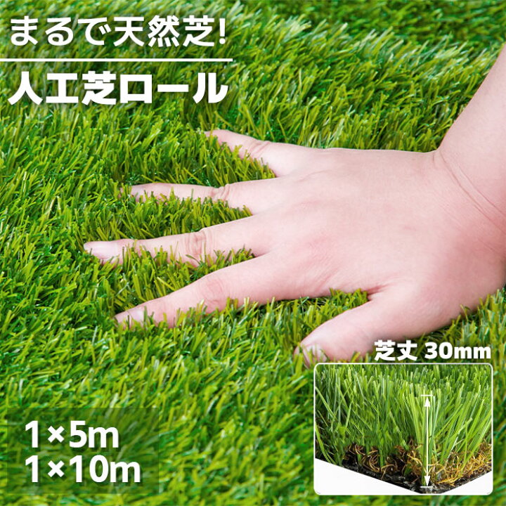 楽天市場】＼全店クーポン配布中／人工芝 芝丈3cm 高耐久 1m×10m 1m 