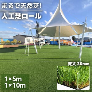 _SXN[|zz^lH ŏ3cm ϋv 1m×10m 1m×5m x [ lHŃ[ 5m 10m AlH lHŐ hV[g  K[fjO K[f A h Ő Gh~ lH