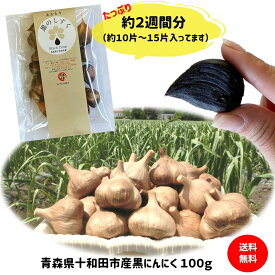 【マラソン期間中限定ポイント10倍+10％OFF】 黒にんにく お試し 100g 青森県産 無添加 送料無料 1000円ポッキリ 国産 ギフト 食品 健康 料理 美容 サプリメント にんにく 産地直送 福地ホワイト六片種 買い回り ポイント消化 令和5年産 当日発送 翌日発送(定休日を除く)