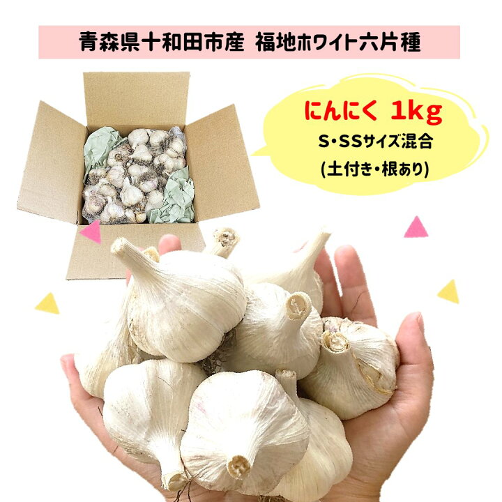 楽天市場】R6年度産 新物 にんにく 国産 訳あり 1kg Sサイズ SS  