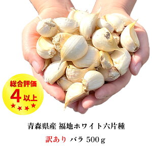 _Vׂ܂^ ɂɂ o 500g 󂠂 XY Y Y  nzCgZЎ o^Cv EC yt ނ N Hi  |Cg  250g×2ܓ 3