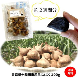 黒にんにく お試し 100g 青森県産 無添加 送料無料 1000円ポッキリ 国産 ギフト 食品 健康 料理 美容 サプリメント にんにく 福地ホワイト六片種 買い回り ポイント消化 1〜2日以内出荷 （定休日を除く）