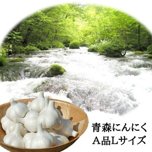 ɂɂ Y i Ai LTCY 1kg XY Y nzCgZЎ  ς Ǖi v[g 蕨 X\acsY N  Hi ߘa7NY 14ʁ`17ʓ 5ȓ