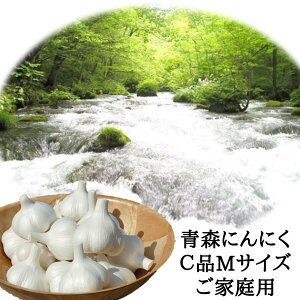 ɂɂ Y ƒp Ci MTCY 1kg XY Y nzCgZЎ  X\acsY jjN N  Hi Yn ߘa7NY 18ʁ`23ʓ 5ȓ̔