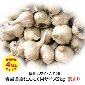 にんにく Mサイズ 2kg 国産 訳あり 青森県産 無添加 送料無料 Mサイズ以上 サイズ混合 多少の土付き根あり 福地ホワイト六片種 青森県十和田市産 ニンニク 料理 令和7年産 1〜2日以内出荷（定休日を除く）
