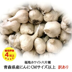 ＼月間優良ショップ受賞／ 【 1kg or 2kg 】 国産 訳あり Mサイズ 青森県産 無添加 送料無料 サイズ混合多少の土・根あり 福地ホワイト六片種 青森県十和田市産 料理 令和7年産 1～2日以内出荷（定休日を除く）