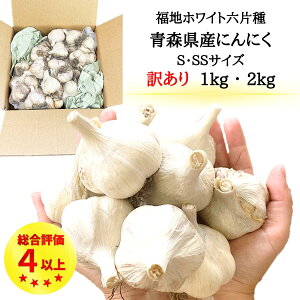_V ɂɂ ^ Y 󂠂 y 1kg or 2kg z STCY SS(2S) XY Y  TCY yt  nzCgZЎ jjN N  ɂɂ ߘa7NY 3ȓo 