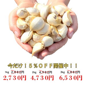 yI5OFFJÒIz_ԗDǃVbv܁^ ɂɂ o y1kg or 2kg or 3kgz 󂠂 XY Y Y  nzCgZЎ o^Cv 召 ytނ  