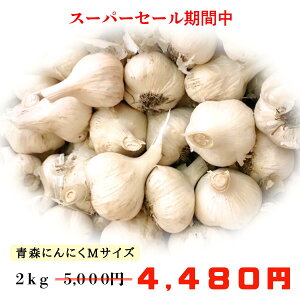 yI10OFFJÒIz ɂɂ MTCY 2kg Y 󂠂 XY Y  TCY ̓yt nzCgZЎ X\acsY X[p[SALE jjN 