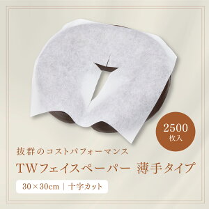 �y2500���zTW�t�F�C�X�y�[�p�[ ����^�C�v �z���C�g �\���J�b�g���� �s���[�V�[�g �t�F�C�X�J�o�[ �G�X�e �T���� �s���[�J�o�[ ���J�o�[ �g���̂� �t�F�C�X�V�[�g �G�X�e�p �T�����p �{�p ��