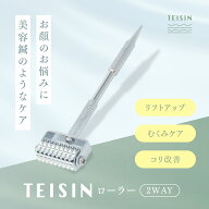 TEISIN ローラー（2WAY）トワテック てい鍼 小児鍼 鍼灸師 ローラー鍼 犬 猫 ペット 美容鍼 針 美顔ロー…