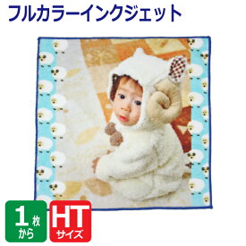 オリジナル プリント フルカラー インクジェット ハンカチ 25cm【オーダータオル】【型代無料】【送料無料】【のし紙 ポリ袋入れ 対応】シャーリング生地