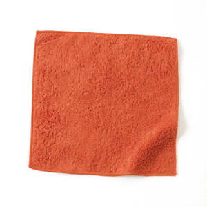 zbg} 1b^I fBA nJ` 24×24cm { | Hotman uh Mtg v[g a LOi {[  |Pbg RpNg nh^I j l b^I