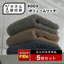 《エントリーでP10倍 10/17 9:59まで》2点で3%OFF【タオル研究所】ミニバスタオル ビッグフェイスタオル #003 ボリュ…