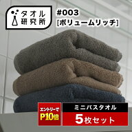 《エントリーでP10倍 10/17 9:59まで》2点で3%OFF【タオル研究所】ミニバスタオル ビッグフェイスタオル …