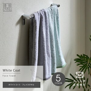 zCgR[g tFCX^I { 33×85cm  k B^I  z 킢  ӂӂ Lb` ʏ gC