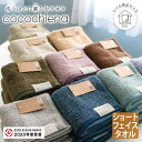 ココチエナ2 ショートフェイスタオル 洗うほどに膨らむタオル スイッチパイル 綿 マイクロファイバー 高吸水素材使用 超吸水 弾力 ＜cocochiena2 ココチエナ2＞