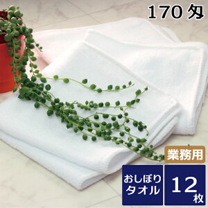 ڂ nh^I Ɩp zepI[o[bNڂ 170 12Zbg  Ɩp^I  ㎿ GXeT Nu zei ܂Ƃߔ