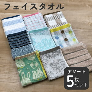 tFCX^I ܂Ƃߔ 5Zbg  ₷   킢 lߍ킹 ܂ A\[g k  F ~gO[ sN  KN p_ ӂӂ ԕ qǂ 