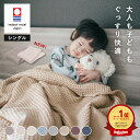 タオルケット 今治 ワッフルケット 綿100 シングル 日本製 吸水 速乾 オールシーズン 140×190 ソファー ブランケット…